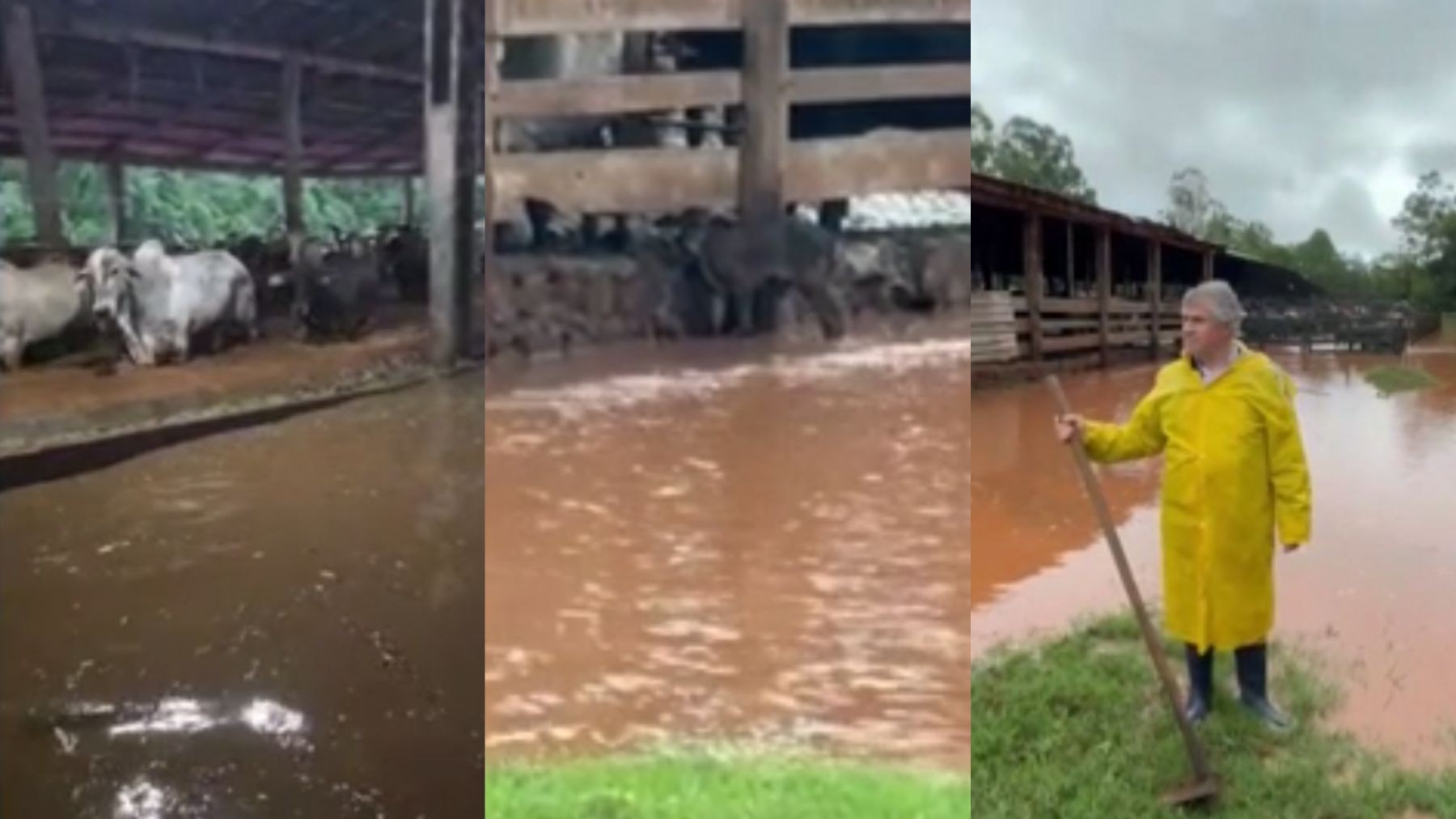 foto Not&iacute;cia Medianeira